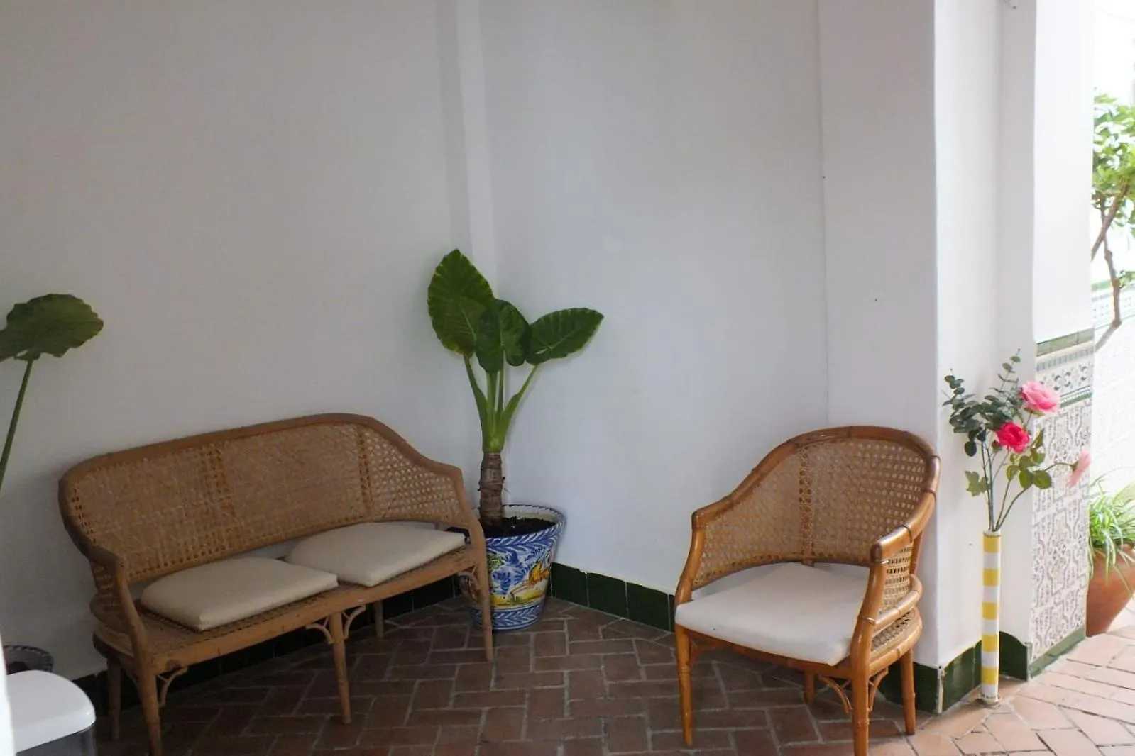Hotel El Patio Cordobés Cordova Affittacamere