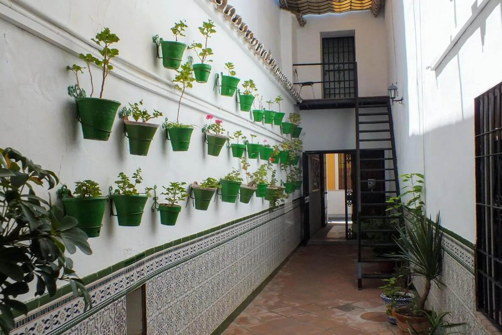 Affittacamere Hotel El Patio Cordobés Cordova Spagna