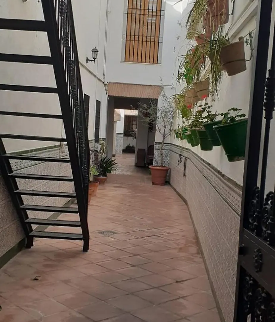 Hotel El Patio Cordobés Cordova Spagna