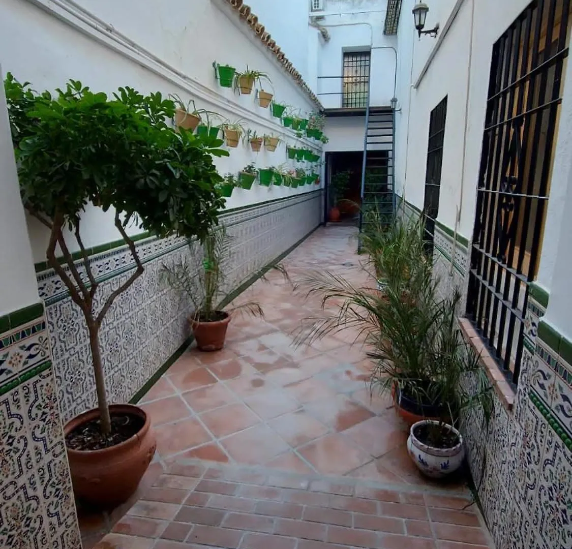 Hotel El Patio Cordobés Cordova Spagna